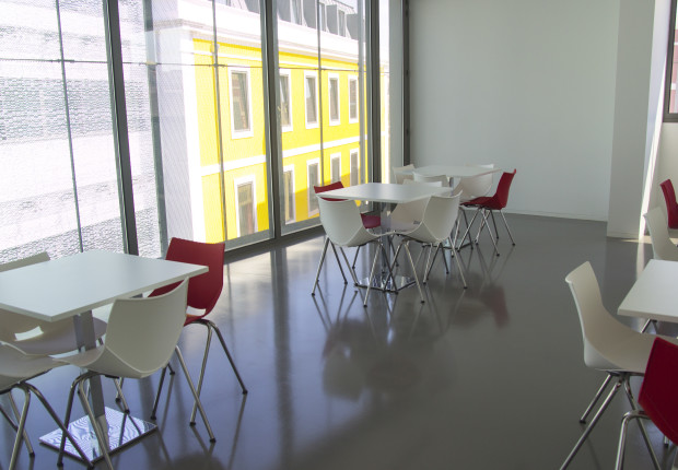 Faculdade de Ciências Médicas U.L. – CastanFloor Anti-Static